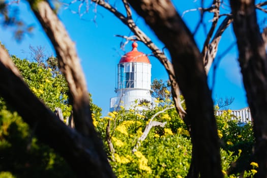 Cape Schanck Lighthouse Reserve on a cool clear winter's morning on the Mornington Peninsula in Victoria, Australia