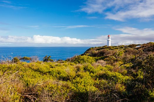 Cape Schanck Lighthouse Reserve on a cool clear winter's morning on the Mornington Peninsula in Victoria, Australia