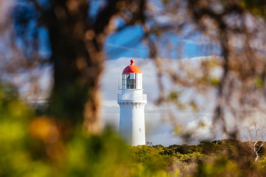 Cape Schanck Lighthouse Reserve on a cool clear winter's morning on the Mornington Peninsula in Victoria, Australia