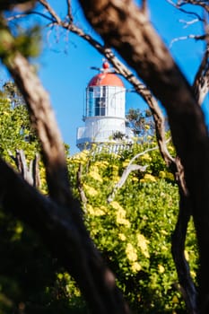 Cape Schanck Lighthouse Reserve on a cool clear winter's morning on the Mornington Peninsula in Victoria, Australia