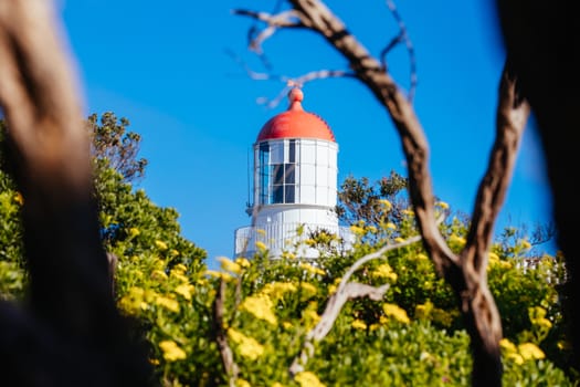 Cape Schanck Lighthouse Reserve on a cool clear winter's morning on the Mornington Peninsula in Victoria, Australia