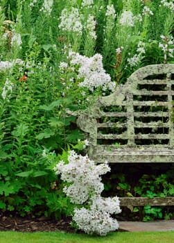 Weathered Garden seat covered in Lichen.