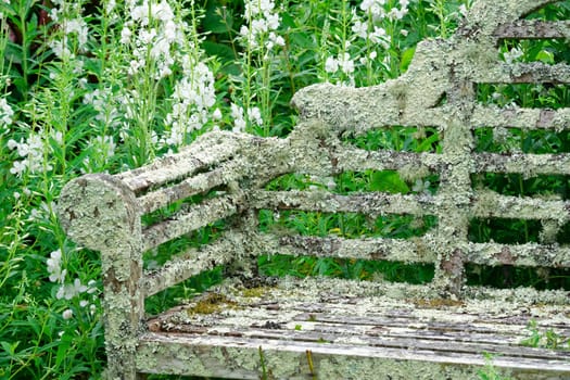 Weathered Garden seat covered in Lichen.