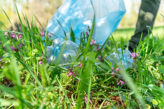 cleaning nature by collecting plastic waste, plastic bottles from the drink cause an ecological disaster.