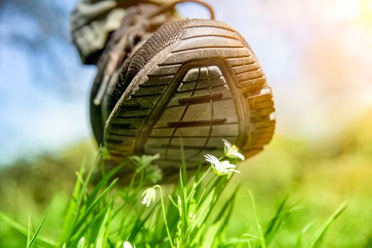 human foot in a shoe tramples white flowers on a green field.