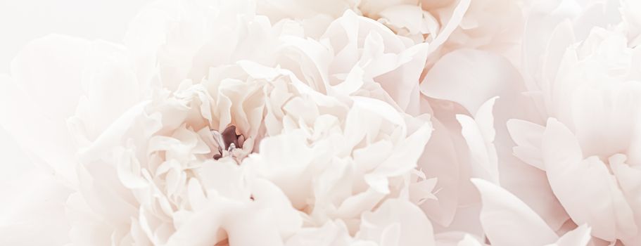 Pastel peony flowers in bloom as floral art background, wedding decor and luxury branding design