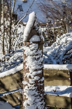 winter landscape with bare branches