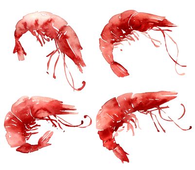 Watercolor illustration of big shrimps. Seamless pattern.