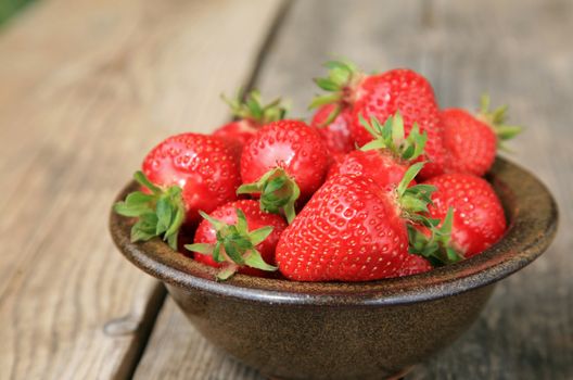 Bowl with fresh strawberries