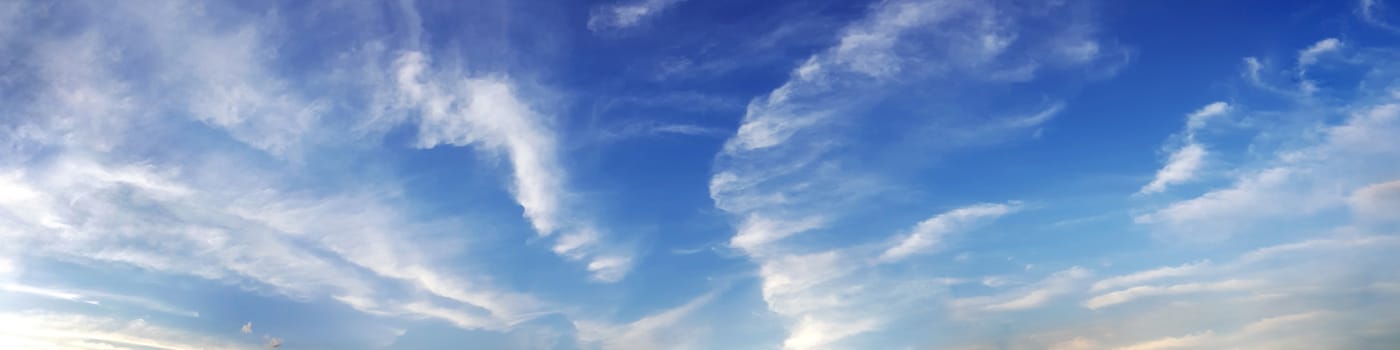 Panorama sky with cloud on a sunny day. Beautiful cirrus cloud.