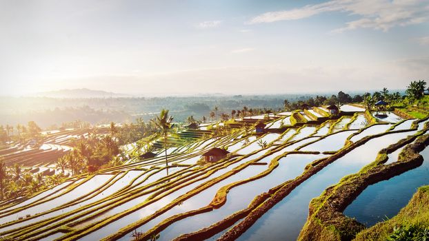 Bali Rice Terraces. The beautiful and dramatic rice fields of Jatiluwih in southeast Bali have been designated the prestigious UNESCO world heritage site.