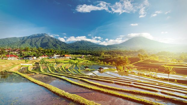 Bali Rice Terraces. The beautiful and dramatic rice fields of Jatiluwih in southeast Bali have been designated the prestigious UNESCO world heritage site.