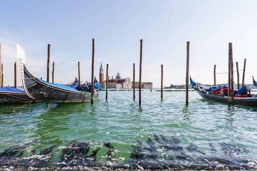 gondolas near Saint Mark's Square on the Grand Canal in Venice and in the background the island of San Giorgio Maggiore.