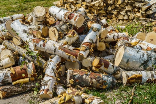 birch chocks lie on a green grass on a summer day