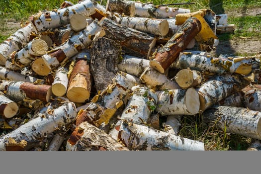 birch chocks lie on a green grass on a summer day