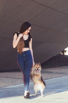 Training a grown-up dog to walk on two legs