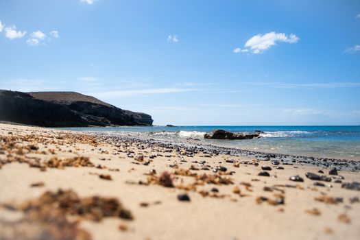 Lonely beach with volcanic dark stones and seaweed on it. Blue sky and a dark cliff on the background