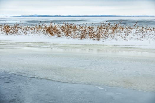 Snow fell on the dry yellow grass by the river. Beautiful winter landscape. Bank of the river after the first snowfall. Dry grass in the snow near the pond.