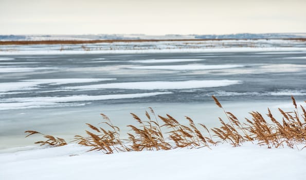 Snow fell on the dry yellow grass by the river. Beautiful winter landscape. Bank of the river after the first snowfall. Dry grass in the snow near the pond.