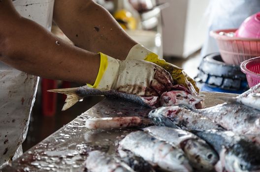 Preparing the fish, removing the scales from the fish so that it can be sold in the market