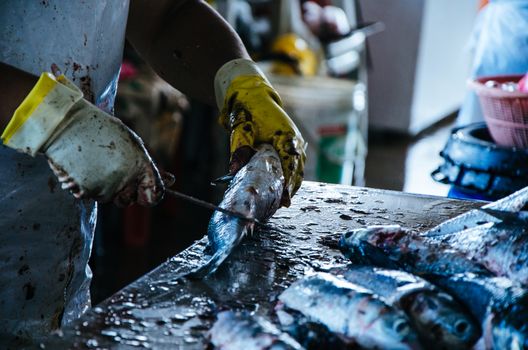 Preparing the fish, removing the scales from the fish so that it can be sold in the market