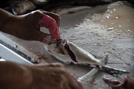 Cutting the fish into pieces for sale in the market