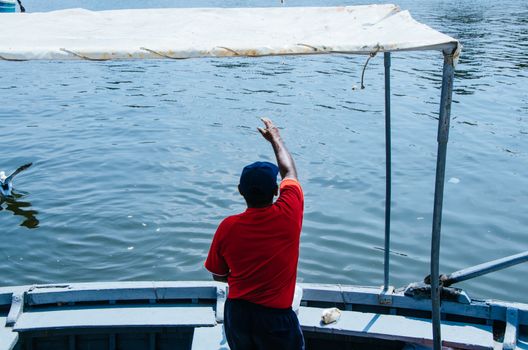 Boatman throwing some food to the seagulls
