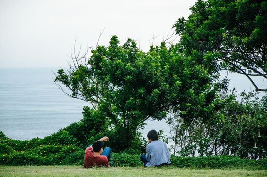 Two men sitting on the lawn facing the sea talking