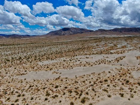 Aerial view of Joshua Tree National Park. American national park in southeastern California. Panoramic view of Arid desert.