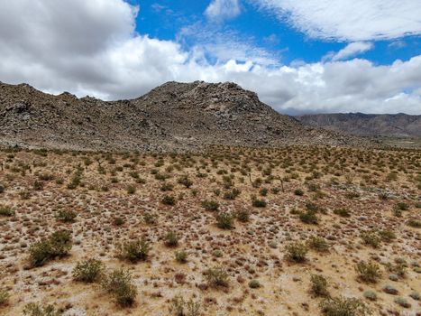 Aerial view of Joshua Tree National Park. American national park in southeastern California. Panoramic view of Arid desert.