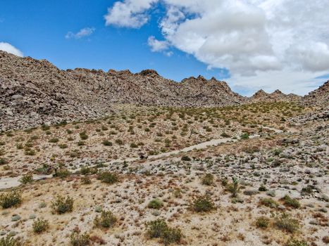 Aerial view of Joshua Tree National Park. American national park in southeastern California. Panoramic view of Arid desert.