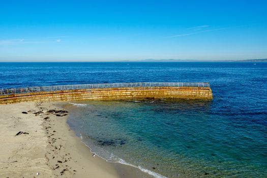 Sea lions and seals napping on a cove under the sun at La Jolla, San Diego, California. The beach is closed from December 15 to May 15 because it has become a favorite breeding ground for seals.