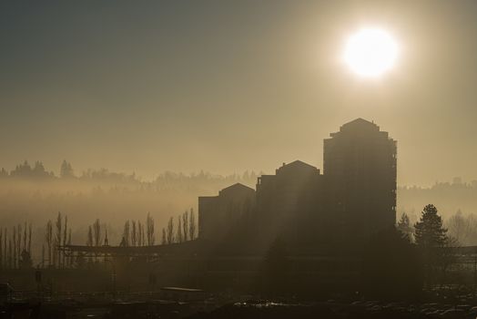 Mistery sity in the fog. Smokey noon of forest burning summer