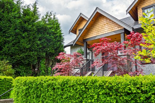 Entrance of luxury residential house with decorative red leave trees at the doorsteps. Big family house with green hedgerow in front