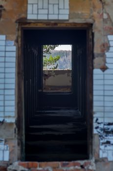 view of branches of trees and forest through the dark corridor of the old destroyed an abandoned building with a collapsed finish from the ceramic tiles