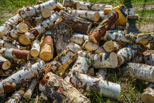 birch chocks lie on a green grass on a summer day