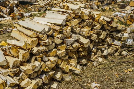 birch logs lie in a pile on the green grass, sunny day