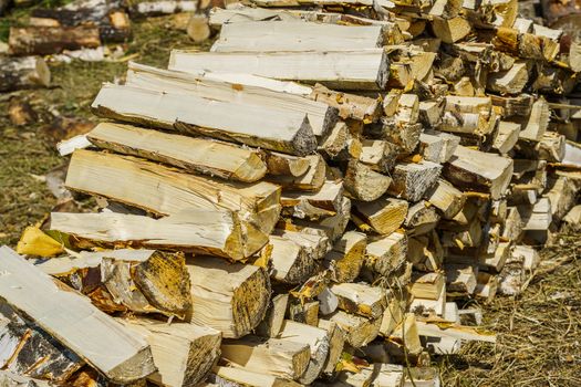 birch logs lie in a pile on the green grass, sunny day