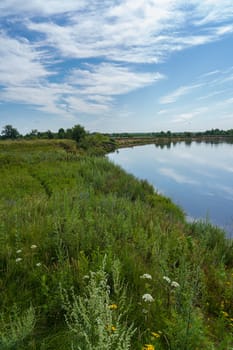 view of the river among the shores covered with forest and shrubs on a sunny summer day
