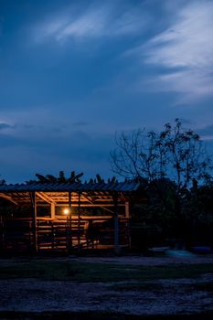 Silhouette of livestock and lighting in morning