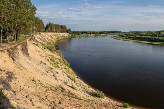 riverbank, high sandy cliff and pine forest on the shore