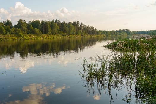 river and forest on the shore at sunset, summer landscape