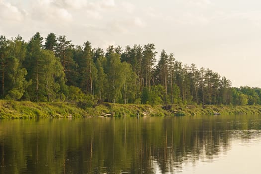 river and forest on the shore at sunset, summer landscape