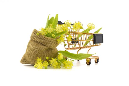 Wire shopping basket and small hessian bag of freshly picked yellow linden flowers and leaves, also called tilia and lime over a white background