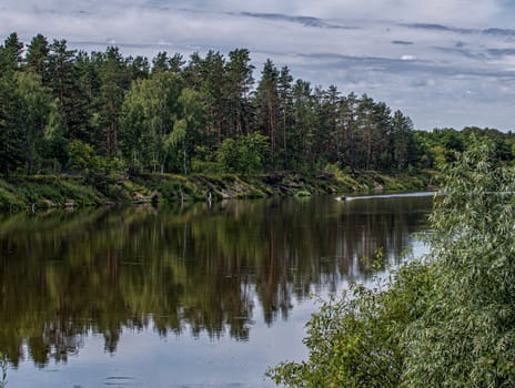 calm plain river among the banks covered with forest under a cloudy sky