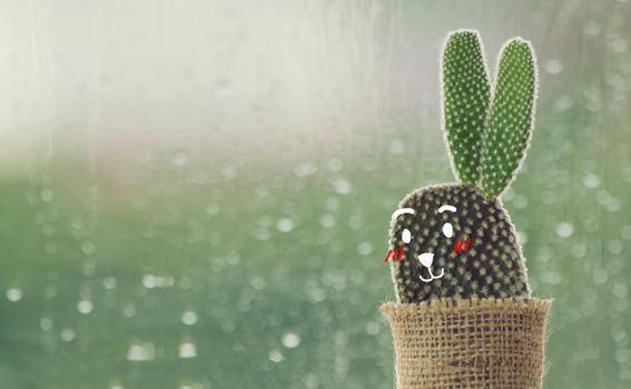 cactus with cute face cartoon on a rainy day with water drop at window background. drops of rain on window glass background.