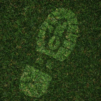 foot print made in grass