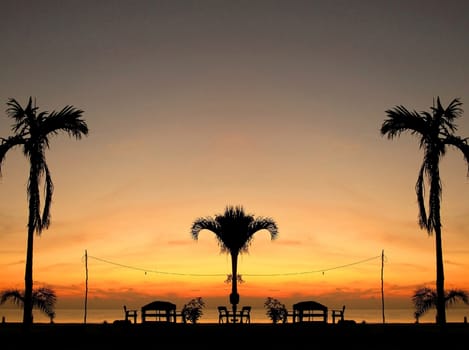 Silhouette coconut palm trees on beach at sunset. Tropical sunset beach background. Bright dramatic sky and dark ground. Seascape under scenic beautiful golden orange sky at sunset dawn sunrise.