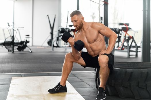 Man sit wheel holding lift barbell Gym athlete bicep exercise dumbbell muscular . Functional cross training indoor. Handsome caucasian bearded guy do workout with dumbbell.