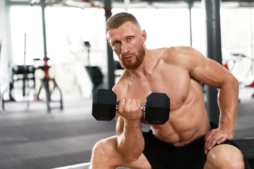 Gym athlete bicep exercise dumbbell muscular man sit wheel holding lift barbell. Functional cross training indoor. Handsome caucasian bearded guy do workout with dumbbell.